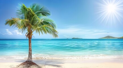 Fototapeta premium beach with palm trees