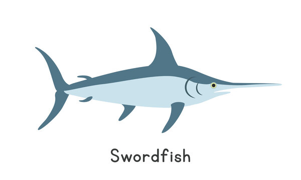 blue swordfish on white background clip art preview