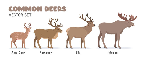 Deers vector illustration set. Deer species cartoon clipart set in flat style. Axis deer, reindeer, elk, moose flat vector design. Wild animals concept