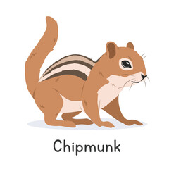 Chipmunk vector illustration, cartoon clipart character, animal in flat style. Wild animals, wild creatures, wildlife concept. Tamias or chipmunk vector design isolated on white background