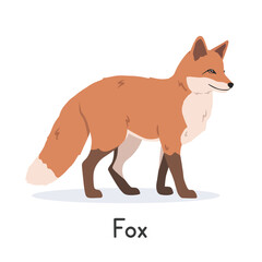 Obraz premium Red fox vector illustration, cartoon clipart character, animal in flat style. Wild animals, wild creatures, wildlife concept. Fox vector design isolated on white background