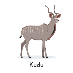 Kudu vector illustration, cartoon clipart character, animal in flat style. Wild animals, wild creatures, wildlife concept. Lesser kudu or greater kudu vector design isolated on white background
