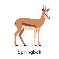 Springbok vector illustration, cartoon clipart character, animal in flat style. Wild animals, wild creatures, wildlife concept. Springbok vector design isolated on white background