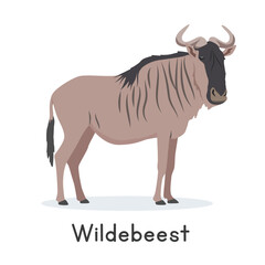 Wildebeest vector illustration, cartoon clipart character, animal in flat style. Wild animals, wild creatures, wildlife concept. Blue wildebeest vector design isolated on white background