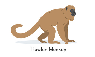 Obraz premium Brown howler monkey vector illustration, cartoon clipart character, animal in flat style. Wild animals, wild creatures, wildlife concept. Brown howler vector design isolated on white background