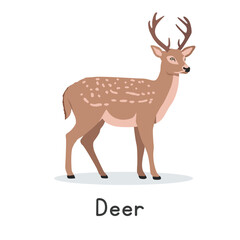 Axis deer vector illustration, cartoon clipart character, animal in flat style. Wild animals, wild creatures, wildlife concept. Chital or spotted deer vector design isolated on white background