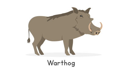 Fototapeta premium Common warthog vector illustration, cartoon clipart character, animal in flat style. Wild animals, wild creatures, wildlife concept. Warthog vector design isolated on white background