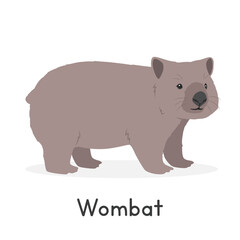 Common wombat vector illustration, cartoon clipart character, animal in flat style. Wild animals, wild creatures, wildlife concept. Cute wombat vector design isolated on white background