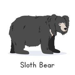 Obraz premium Sloth bear vector illustration, cartoon clipart character, animal in flat style. Wild animals, wild creatures, wildlife concept. Indian bear vector design isolated on white background