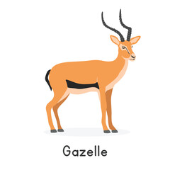 Gazelle vector illustration, cartoon clipart character, animal in flat style. Wild animals, wild creatures, wildlife concept. Gazelle vector design isolated on white background