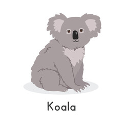 Koala vector illustration, cartoon clipart character, animal in flat style. Wild animals, wild creatures, wildlife concept. Cute koala bear vector design isolated on white background