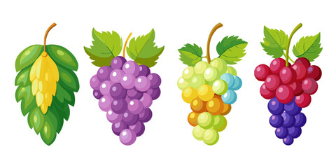 Different Styles of Grapes Illustration Bundle Collection.