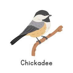 Black-capped chickadee perched on tree branch vector illustration, cartoon clipart character, animal in flat style. Wild animals, avian, birds concept. Carolina chickadee vector design isolated