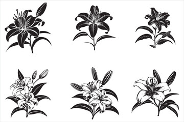 Lily_Flower_Silhouette vector