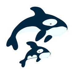 killer Whale family isolated on white wbackground, Marine vector illustration set, colorful wild animal, cartoon mammal, decorative flat sign orca, cartoon sea symbol for travel design greeting card