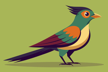  Cuckoo bird vector art illustration