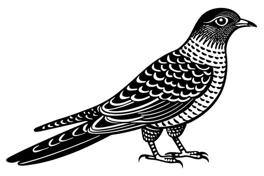 recommend clip art: Cuckoo silhouette black linocut vector art illustration