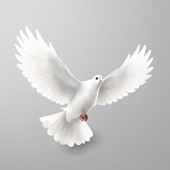 Obraz premium white dove flying