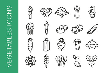 Vegetable icons. Large set of vegetable trendy minimal icons. Example: Celery, Mushroom, Tomato, Carrot, Pepper icon. Design signs for web page, mobile app, packaging design. Vector illustration
