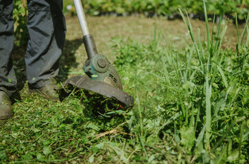 a man in pants and closed shoes mows overgrown grass with a lawn trimmer in the summer garden