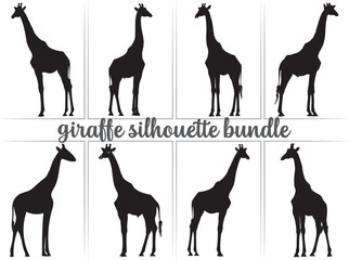 Fototapeta premium Giraffe silhouette bundle, Wildlife Giraffe clipart, Giraffe silhouettes, Giraffe vector illustration black and white background.