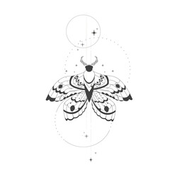 Magic mystic moth tattoo thin line in doodle style, Elegant celestial isolated, boho esoteric symbol, Buterfly with staers and moon 
