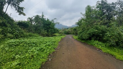 A muddy path winds through a green meadow under a cloudy sky, showcasing the beauty of nature during monsoon.