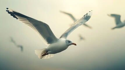 Obraz premium A scene capturing the wild life of sea gull birds in their natural habitat, showcasing their graceful flight and coastal presence.