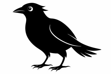  Bird Vector Silhouette illustration. vector illustration. black and white.