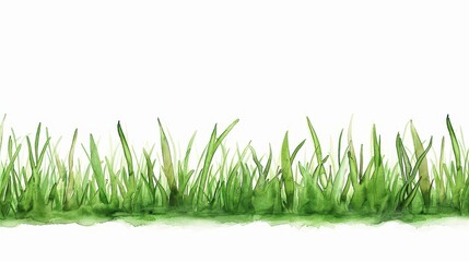 Fototapeta premium Expansive green lawn depicted in soft watercolor, showcasing vibrant hues on a clean, white background, perfect for nature lovers.