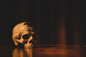 The imagination and inspiration of scary art and horror photography. The closeup idea concept of...