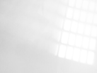 Shadow light summer background sunight overlay nature on room cement wall floor abstract blur muckup effect grey minimal platform for presentation product backdrop, wallpaper template display.