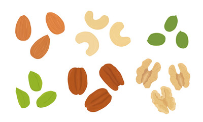 Set of nuts and seeds. Hand drawn vector illustration.  Almond, cashew, pecan, walnut, pistachio, pumpkin seed.