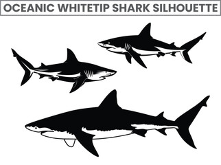 Hand-drawn Oceanic whitetip shark Silhouettes Vector Marine Fish and Animals Silhouette. Isolated Mammal on Black and White Background.