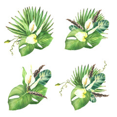 Bouquet of tropical green leaves, palm, Anthurium flowers. Exotic plant leaf composition watercolor set. Calla, greenery creeper Botanical jungle clipart Hand drawn illustration on isolated background