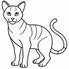 cat Vector