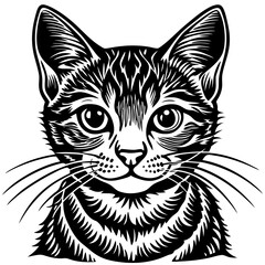cat Vector