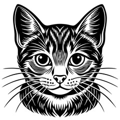 cat Vector