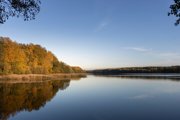 A calm lake with trees in the background