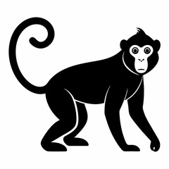 Monkey silhouettes on white background.