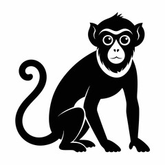 Monkey silhouettes on white background.