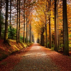 Obraz premium path in a forest, AI generated