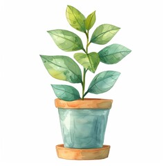 Watercolor illustration of a potted plant with green leaves in a terracotta pot, perfect for botanical and nature-themed designs.