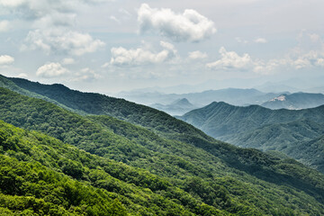 한여름의 울창한 숲과 많은 산,하늘.