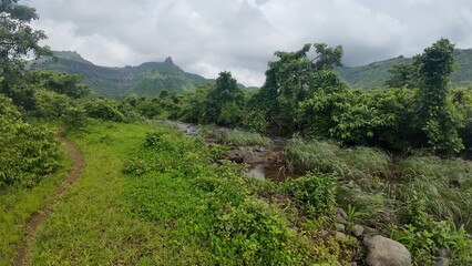 Scenic landscape featuring a cloudy sky, distant sahyadri hills, and lush green vegetation in the monsoon season.
