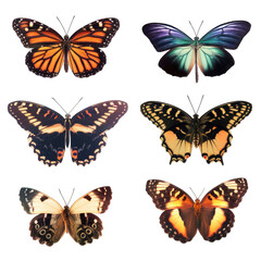 Obraz premium set of butterflies on white transparent background png