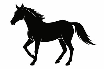  Horse silhouette illustration, horse black silhouette. Vector illustration. black horse silhouette
