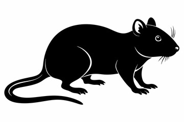 Rat Animal Silhouette Mouse Rodents Illustration
