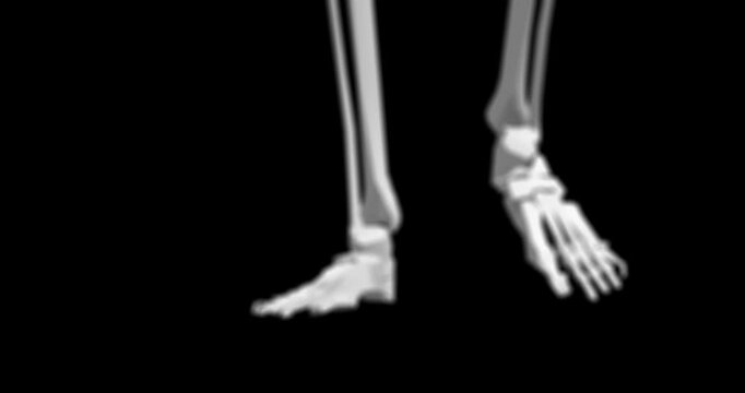 Human body, 3d and skeleton with closeup, walking or medical information, research or biology. Structure, feet or science of anatomy in motion on black background for diagnosis, hologram or bones