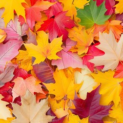 Closeup of a pile of vibrant fall leaves, showcasing the rich colors and textures of autumn